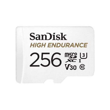 SanDisk High Endurance 256GB Micro-SD